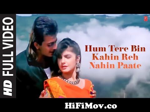 View Full Screen: hum tere bin kahin reh nahin paate full song film sadak.jpg