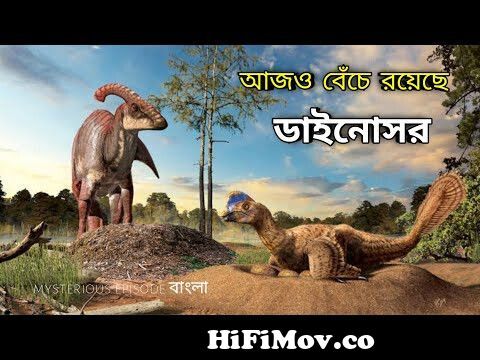 তবেকি পৃথিবীতে ডাইনোসর আজও বেঁচে রয়েছে I How Asteroids End of Dinosaurs  Bangla I Full Episode from ডাইনুসর Watch Video 