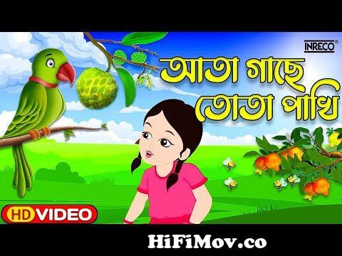 Ata Gache Tota Pakhi | আতা গাছে তোতা পাখি | Bangla Cartoon | Bengali Rhymes  by jugnu kids Bangla from 05 tota pakhi abid ahamed Watch Video 