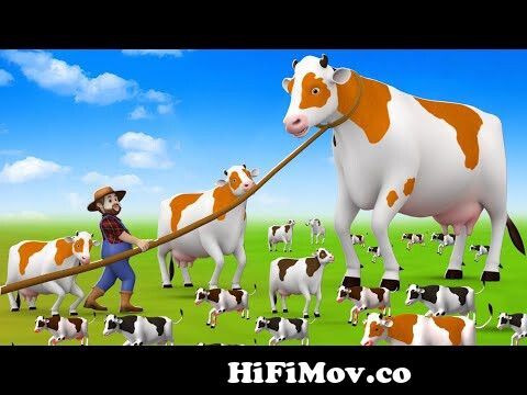 Cowxxxvideo - Funny Farm Adventures - Baby Cow Rescue Giant Cow in Barn Yard | Funny Farm  Animals Videos from cowxxxvideo com Watch Video - HiFiMov.co