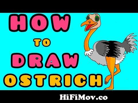 How To Draw a Cartoon OSTRICH (Emu) Step By Stepeasy Method l উট পাখির  কার্টুন ছবি আঁকবো কী ভাবে ? from উট পাখি ফটো Watch Video 