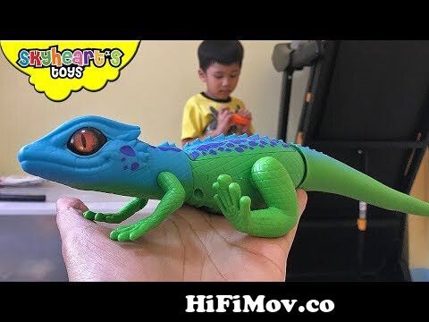Scary LIZARD GECKO in our room! Toddler plays with robo alive pets snake  lizard and toys zuru from chipkali Watch Video 