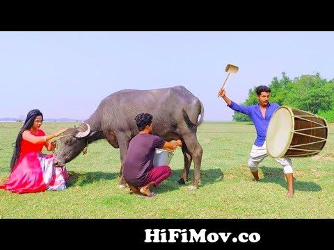 Must watch Very spacial New funny comedy videos amazing funny video  2023🤪Episode 107 by funny dabang from www video indian com gp mp3 audio  song bangla Watch Video 