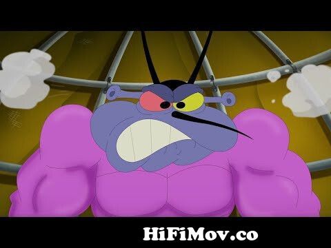 Oggy and the Cockroaches - SUPER JOEY (S05E51) CARTOON | New Episodes in HD  from oggy and the rage in Watch Video 