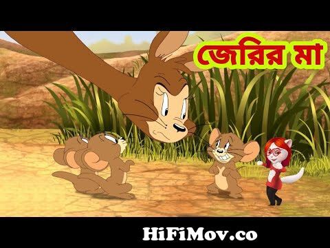 Tom and Jerry | Tom and Jerry Bangla | cartoon | Tom and Jerry cartoon |  Bangla Tom and Jerry from বাংলা tom and jerrey Watch Video 