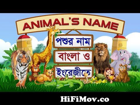 Animals Name | পশুর নাম | Animals name in English & Bangla | Animals Sound  & Video | ArtPencil | Ap from পশু নাম Watch Video 