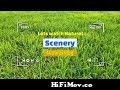 Natural Rice Field Review By My Sister | Natural Scenery Bangla. from আনিমেল এক্সভিডিও Video Screenshot Preview 1
