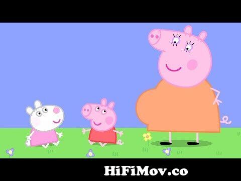 Baby Peppa Pig and Baby Suzy Sheep! | Peppa Pig Official Family Kids Cartoon  from baba choti Watch Video 