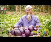 Farming Future Bangladesh