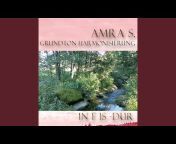 Amra S. - Topic