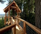 S11 E7 • Lifted Lodge Treehouse