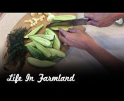 Life in Farmland