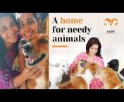 Aman Animals Rehabilitation Foundation
