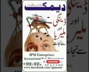 IPM Enterprises®