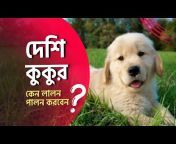 Odvut Bangla TV