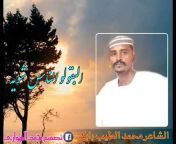 محمد الهواريMohammed Al-Hawari