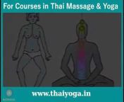Nirvana - School Of ThaiMassage u0026 Yoga