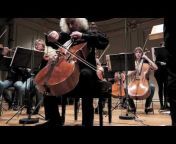 Weinberger Chamber Orchestra