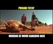 Punjabi Totay HD