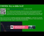 Trading Live: Stock Forex Cryptocurrency