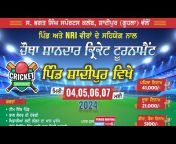 Punjab Haryana Cricket Fever
