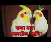 Bird Tips 24