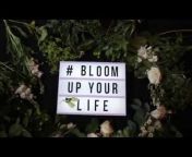 Bloom Magic - Ireland