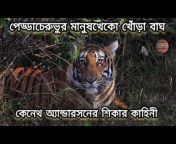 Tales of Sundarban