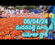 madanapalle tomato prices