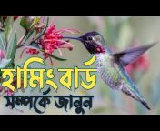 Priyo Bangla 71