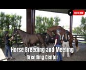 Secret Animals - Equestrian Professional Academy