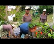 DARKER SHADE FARMING VIDEO PRODUCTION