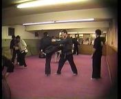 Mike Pecina&#39;s Martial Arts