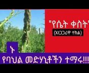 Ethio Tube ኢትዮ ቲዩብ