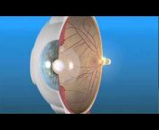 EyeSmart — American Academy of Ophthalmology