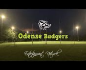 Odense Badgers