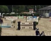 SA Equestrian Sporthorses
