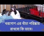 Rabbit Lover Hiron