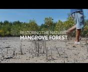 Mangrove Action Project