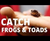 Toads N Frogs