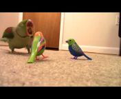 Mizzy&#39;s Parrots