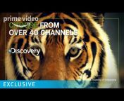 Amazon Prime Video UK u0026 IE