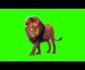 green screen images