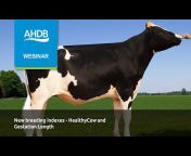 AHDB Dairy