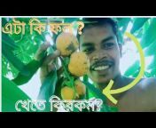 Bengali vlogs