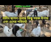 Aturia Jamunapari Goat Farm
