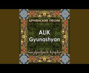 Alik Gyunashyan - Topic