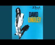 David Lindley - Topic