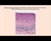 Dermatology-on-line-teaching by Prof Asher