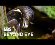 EBS Beyond Eye